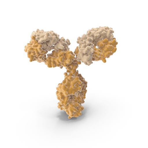 [0708-PABL-212-PE-1mg] Recombinant Human monoclonal Antisize:IAV HA Antibody, CR9114, size:RegµLar batch, without endotoxin removal, SDSsize:PAGE >95%, PE 1 mg