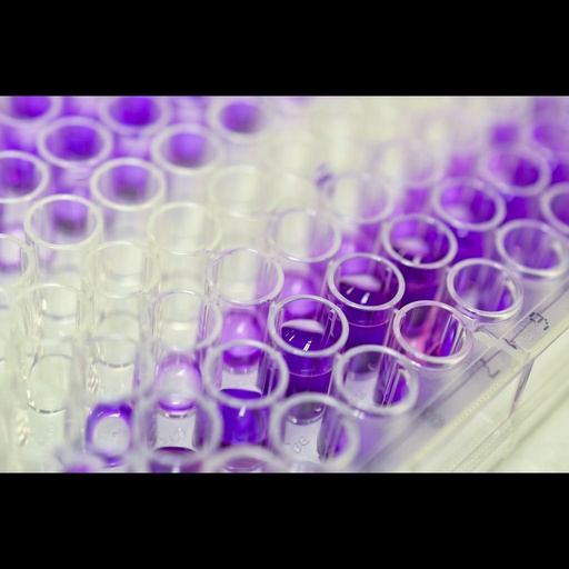 [0855-ELK0096-96T] Human CoII2size:1 Degradation Product of Typesize:II Collagen  ELISA Kit size: 96 Tests