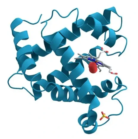 Biotechnology Products